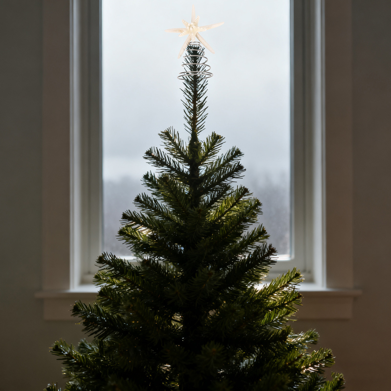 Star Tree Topper - 沿岸のクリスマスツリートッパー、シーワイヤー製五芒星ツリートップデコレーション、オーシャンをテーマにしたホリデーデコレーション、ビーチ